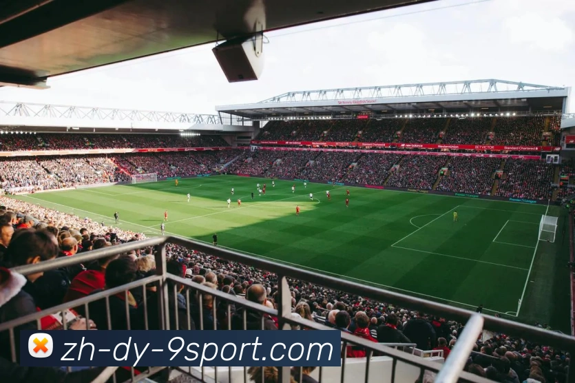 九游娱乐官网平台生态图